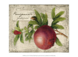 Fresco Fruit V