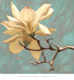 Magnolia II