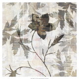 Wallflower V