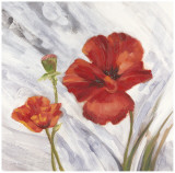 Poppy Splendor I