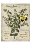 Herbs & Butterflies I