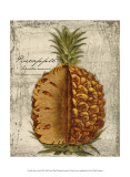 Fresco Fruit III