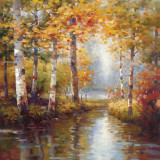 Forest Lake