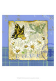 Papillon Plaid I