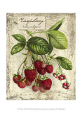 Fresco Fruit IV