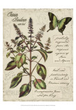 Herbs & Butterflies IV