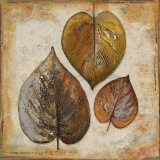 Natural Leaves II