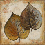 Natural Leaves I