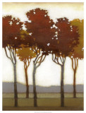Arboreal Grove I