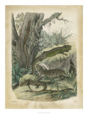 Nature's Gathering V
