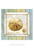 Sea Treasures XI