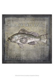 Ocean Fish II