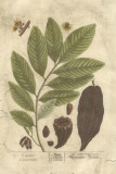 Vintage Foliage V