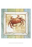Sea Treasures VIII
