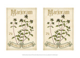 2-Up Seed Packets III