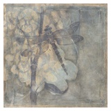 Ethereal Wings III