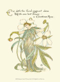 Shakespeare's Garden XII (Christmas Rose)