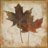 Natural Leaves IV