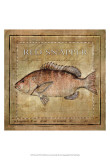 Ocean Fish VII