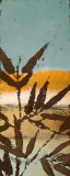 Arizona I