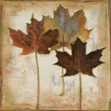 Natural Leaves III