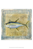 Ocean Fish XII