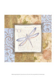 Collaged Dragonflies I