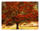 Autumn Oak I