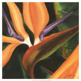 Bird of Paradise Tile IV