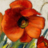 Poppy Splendor Square II (detail)