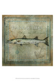 Ocean Fish I