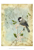 Songbird Sketchbook II