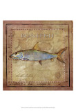 Ocean Fish IV