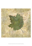 Antiqued Leaves III