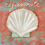 Shell (Rejuvenate)