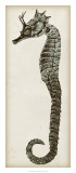 Vintage Seahorse I