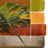 Morning Light I