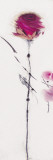 Oriental Rose I