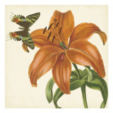 Garden Delight V