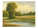 Spring Morning I