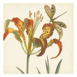 Garden Delight IV