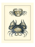 Antique Blue Crabs I