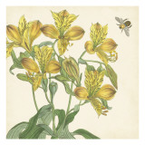 Garden Delight VI