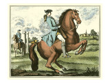 Equestrian Training III