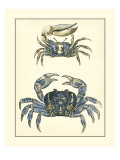 Antique Blue Crabs II