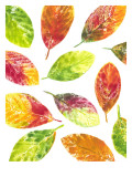 Vibrant Leaves II