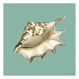 Shell on Aqua IV