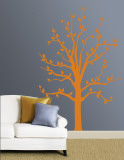 Orange Tree