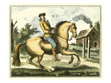 Equestrian Training I