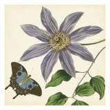Garden Delight I